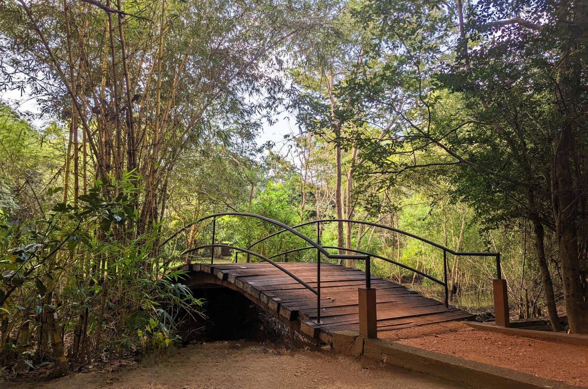 Pinthaliya Resort Sigiriya Exterior foto